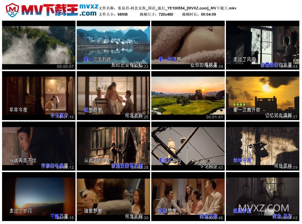 张显君-何念无你_国语_流行_YE100554